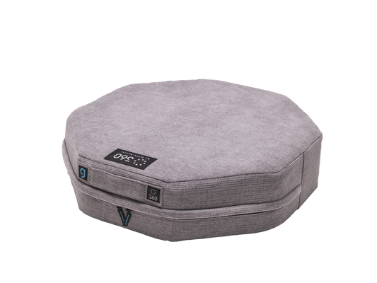 ShapeEight 360 edition